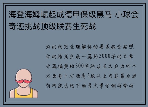 海登海姆崛起成德甲保级黑马 小球会奇迹挑战顶级联赛生死战